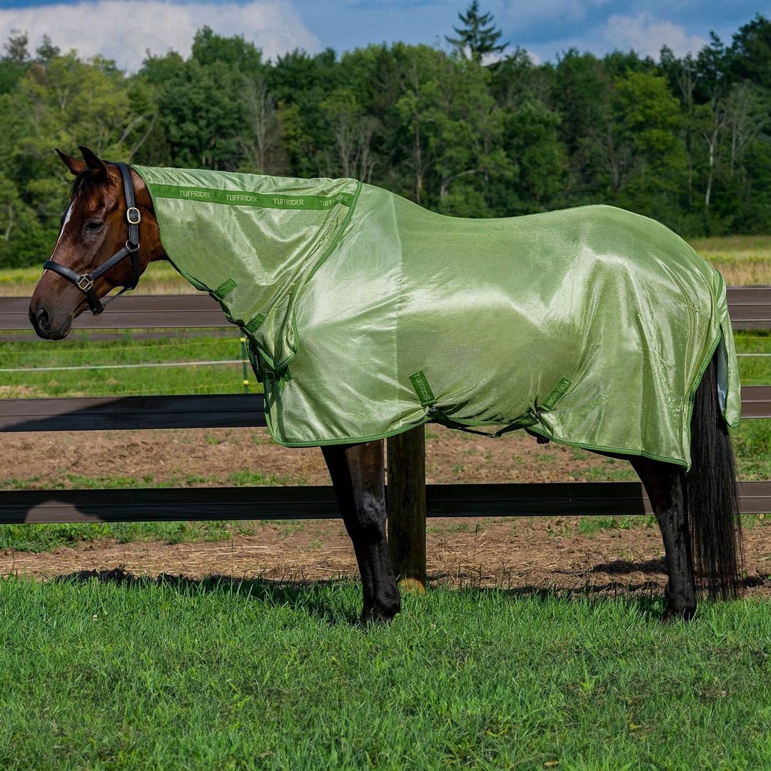 Fly Protection