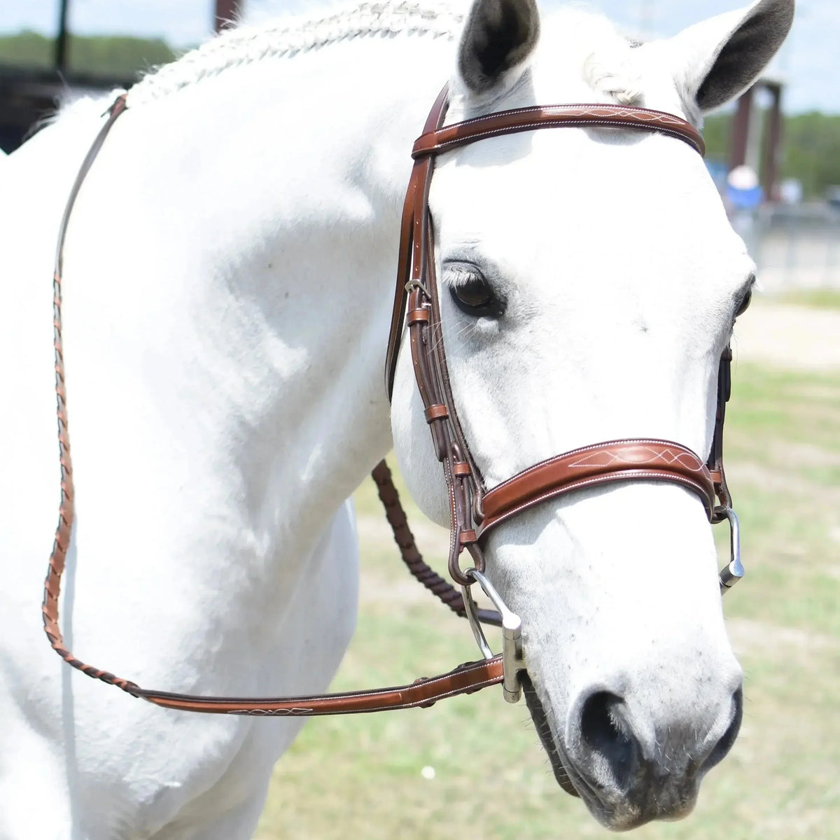 Bridles