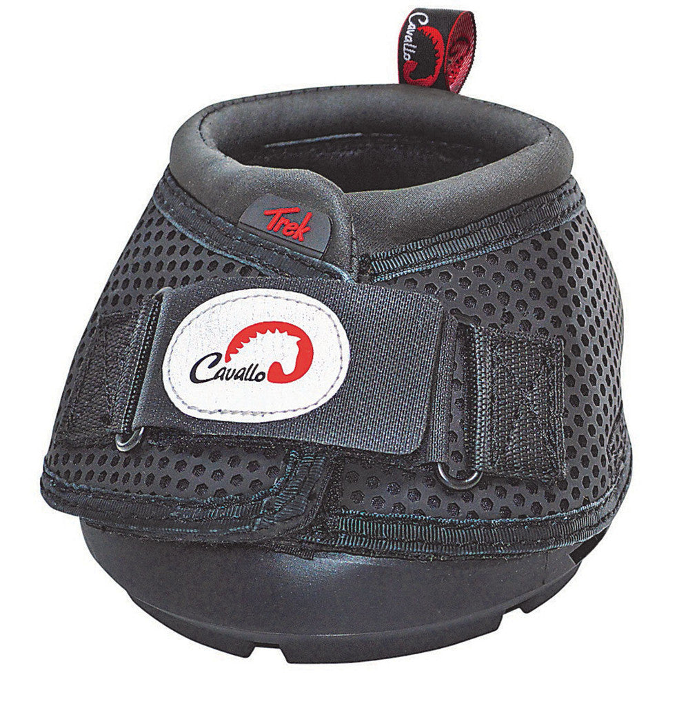 Cavallo