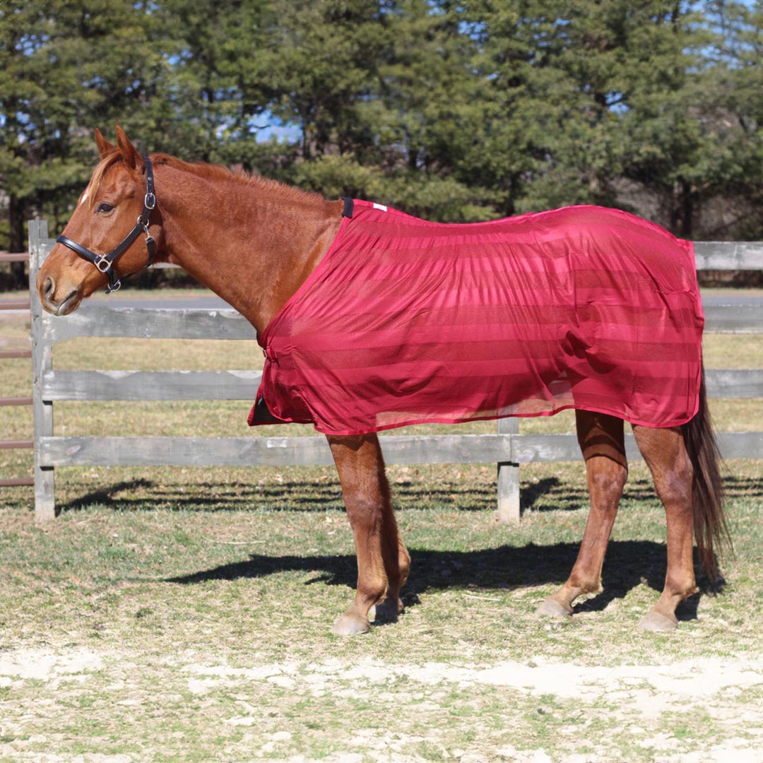 TuffRider Lightweight Mesh Scrim Sheet with Fly Protection with Single Surcingle