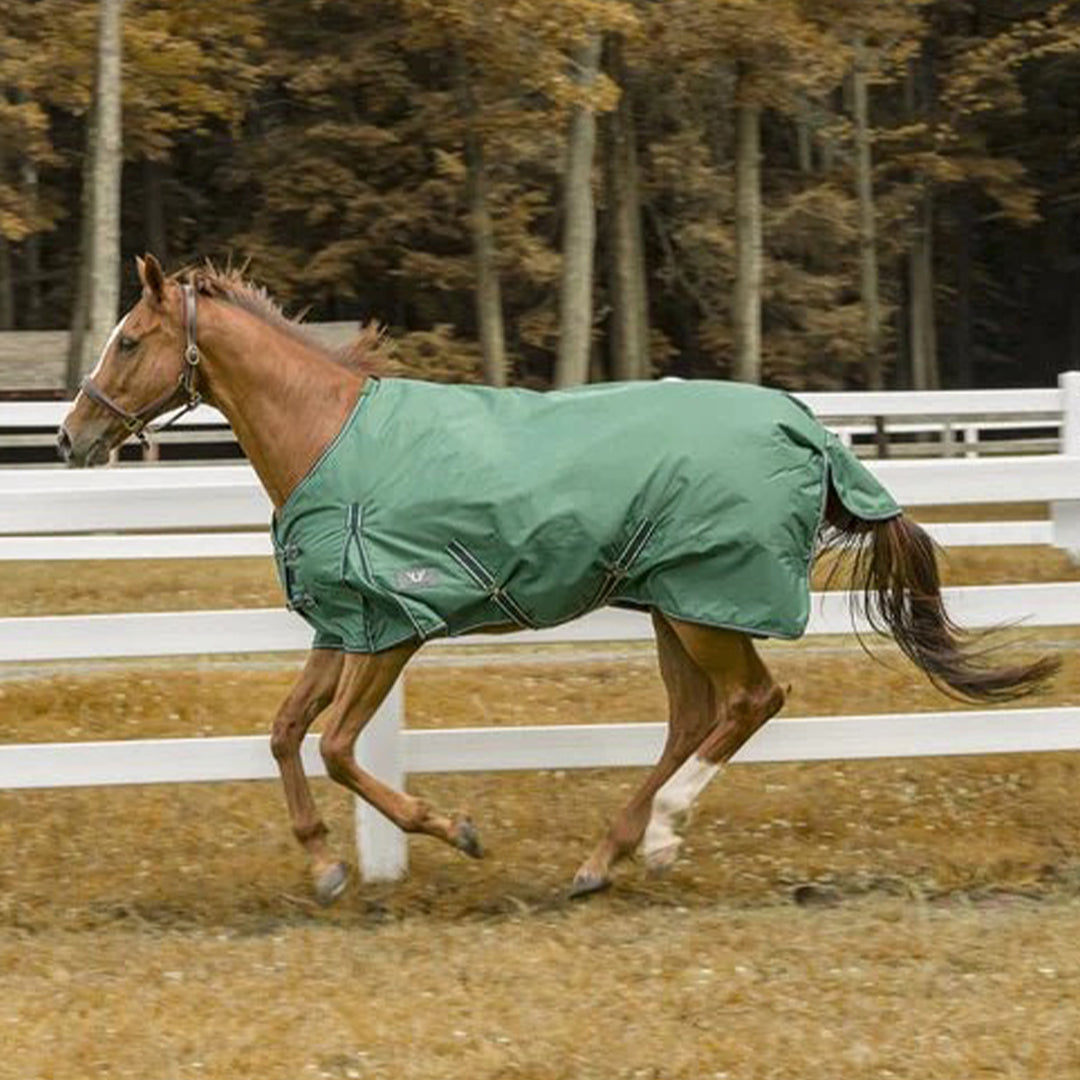 TuffRider 600 D  Comfy Winter Ripstop Turnout Blanket Medium Weight 200 GSM Standard Neck