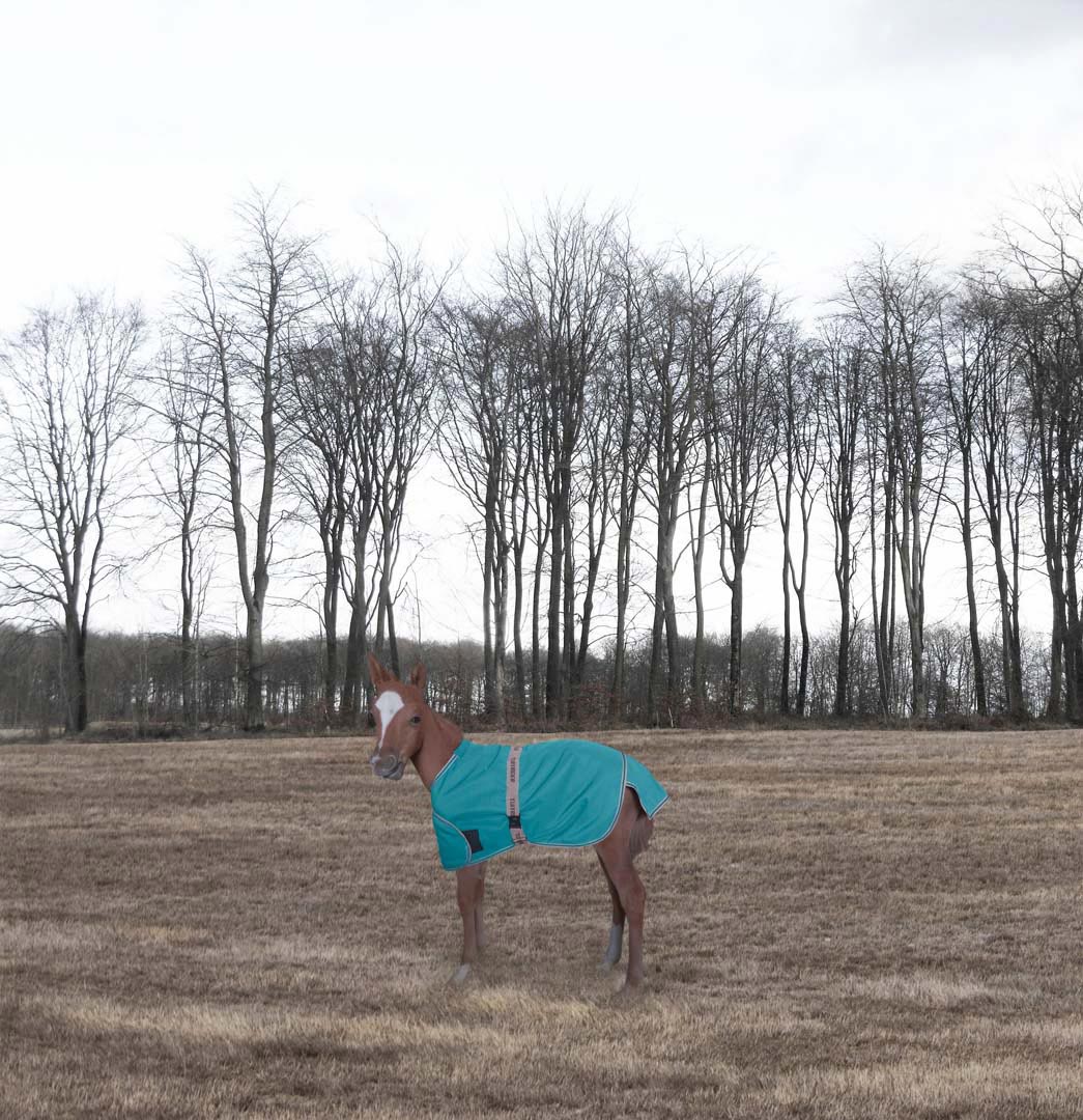 TuffRider 1200D Ripstop Foal Adjustable Turnout Blanket 220GSM Fill