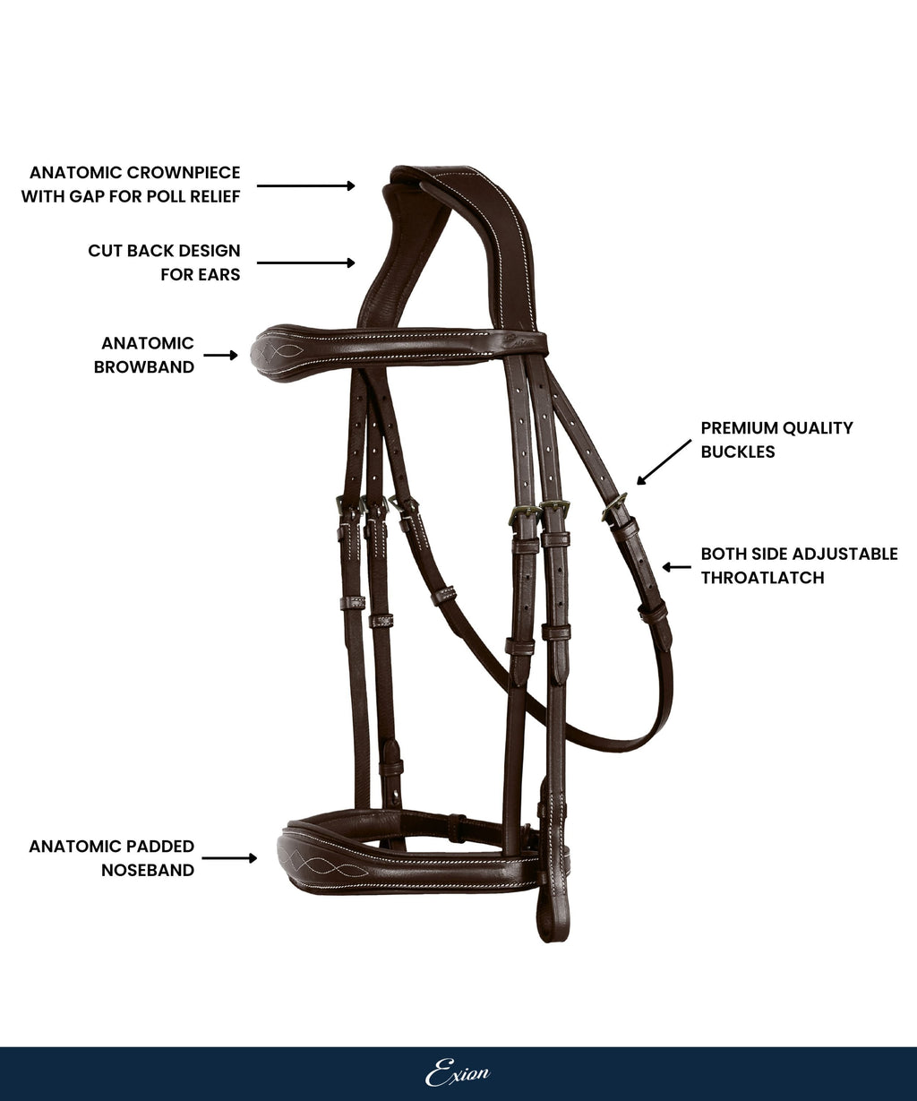 ExionPro 'Perseus' Anatomical Jumping Bridle without Flash with Reins