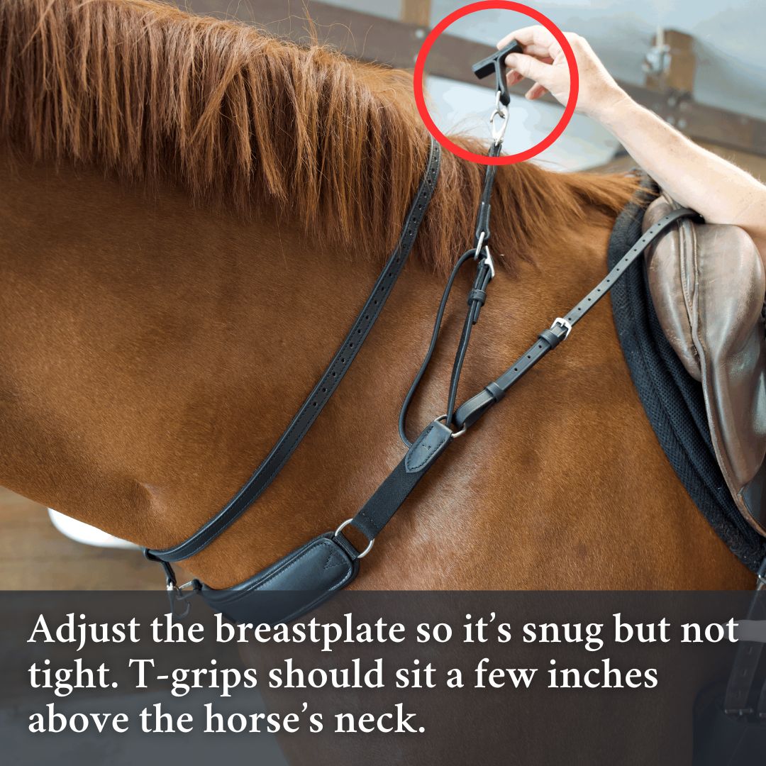 3-in-1 Training Breastplate