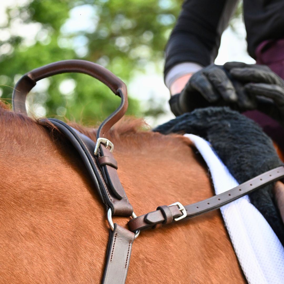 3-Point Breastplate with Double Neck Strap