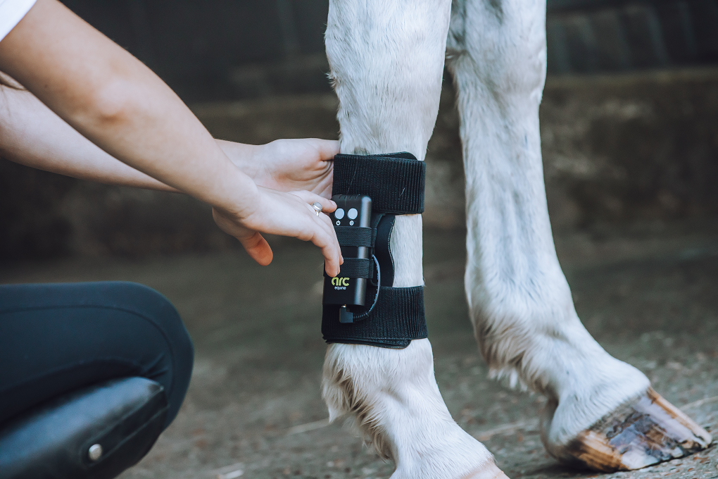 ARC Equine Therapy System