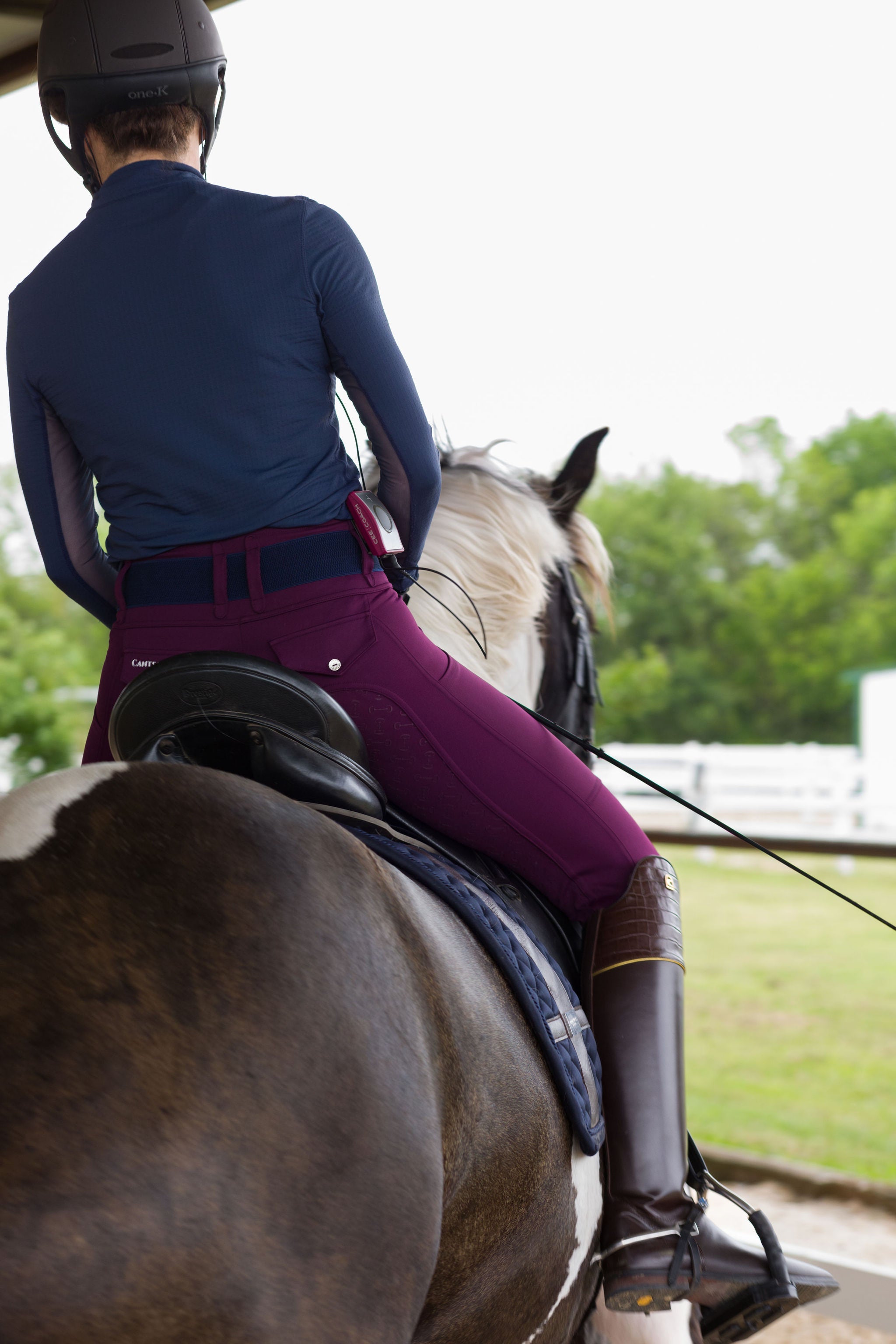 Athletic Breech - Purple Rein