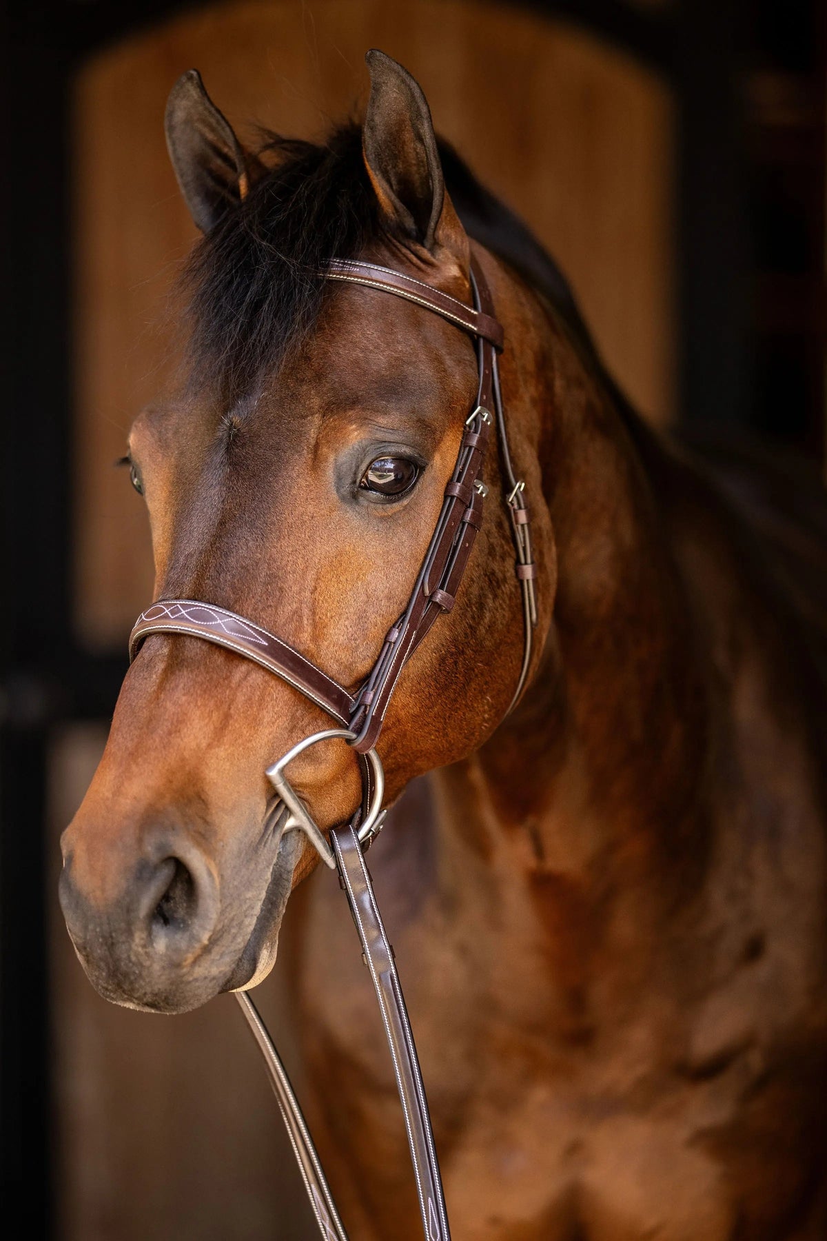 Huntley Equestrian Sedgwick Fancy Stitched Square Raised Hunter Horse Bridle with Reins