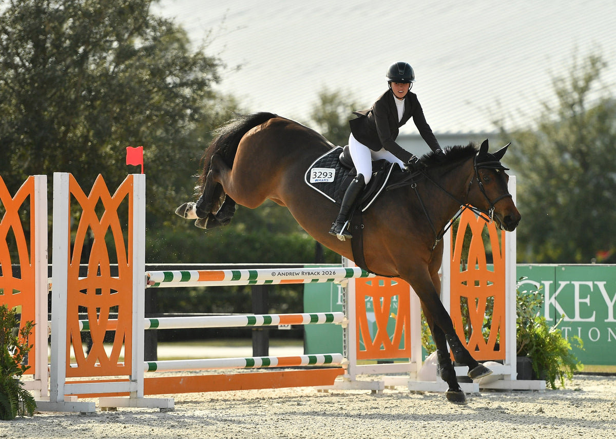 Jump Saddle Pad | Black
