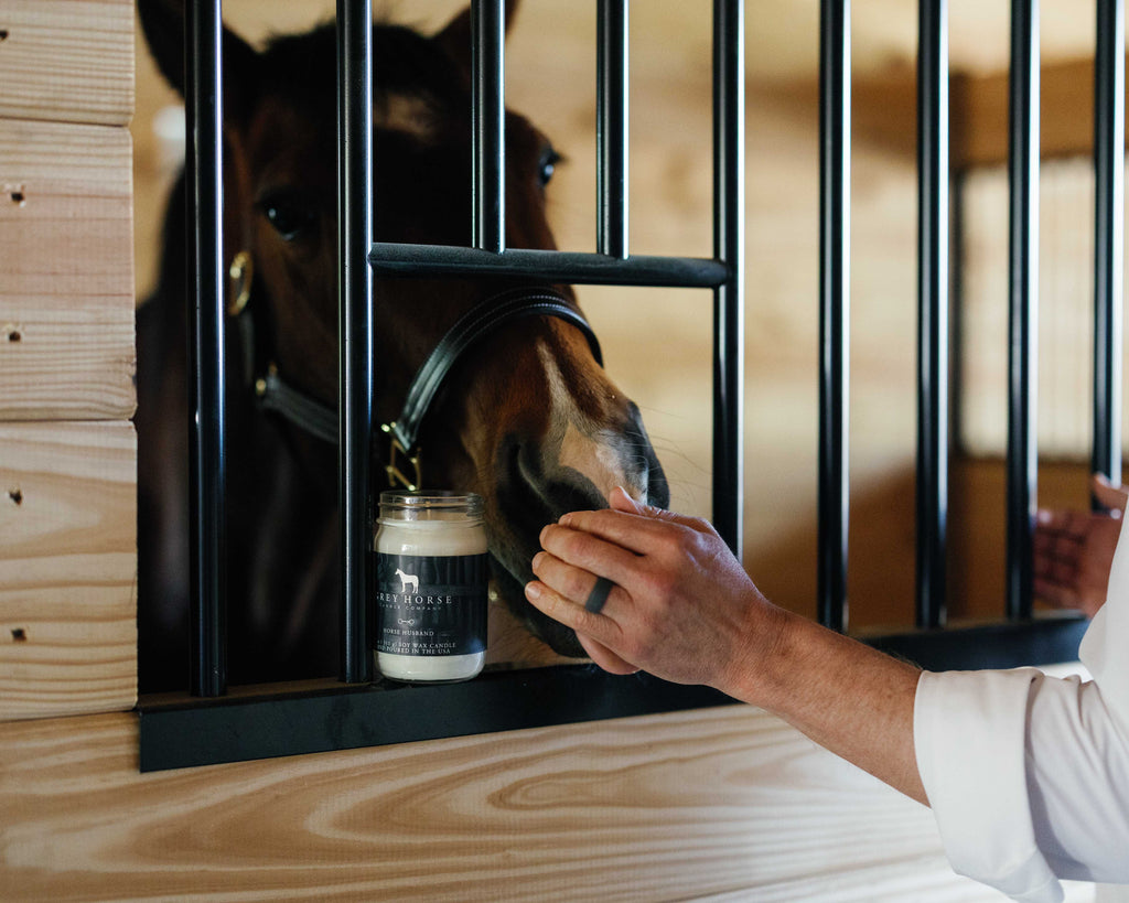 Horse Husband Candle