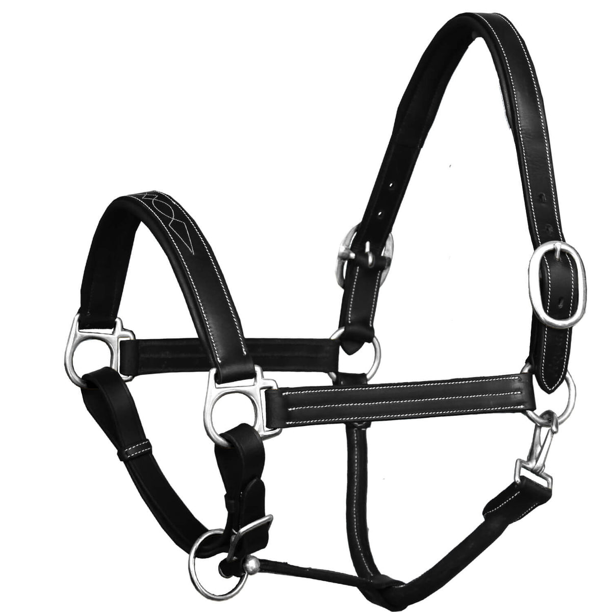 ExionPro Triple Stitched Halter - Brass Nickel Hardware