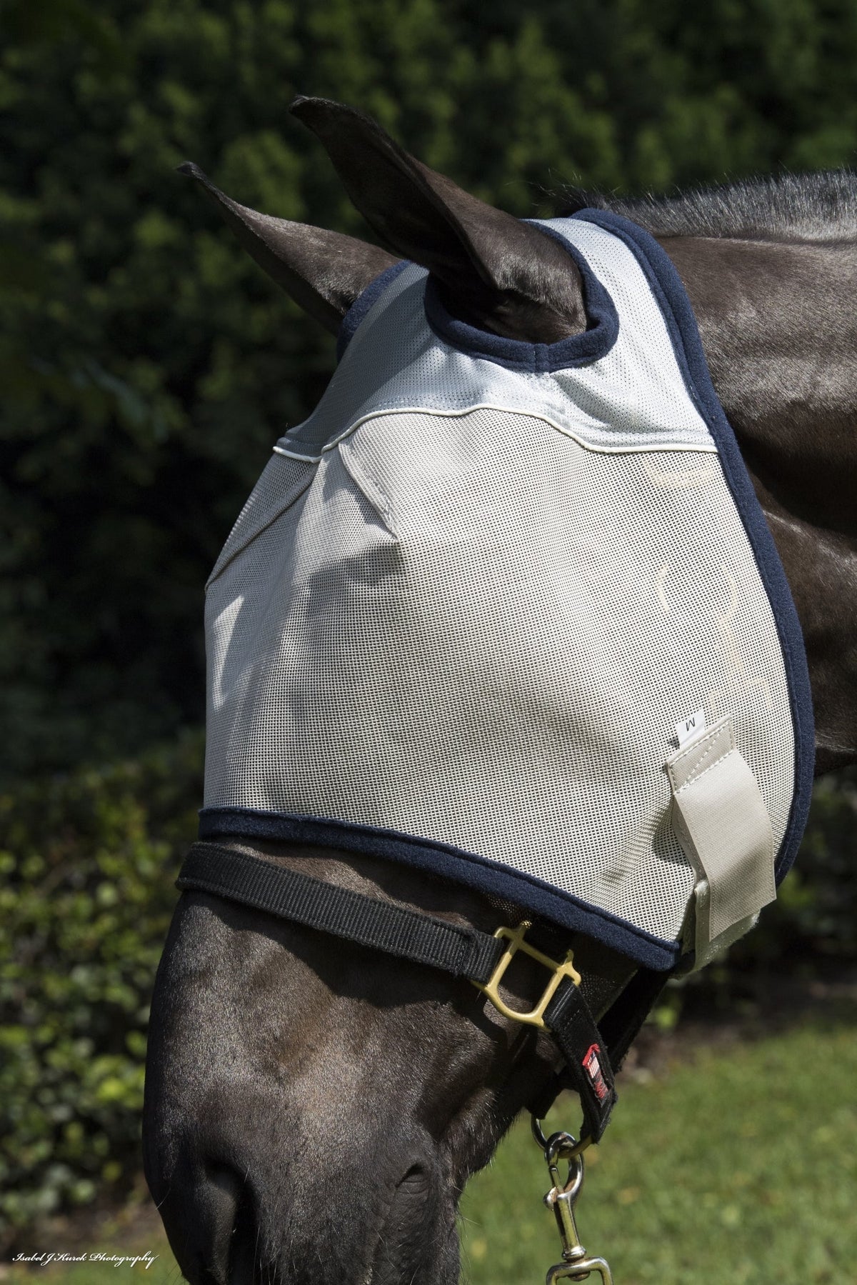Defender Fly Mask with Reflective Trim