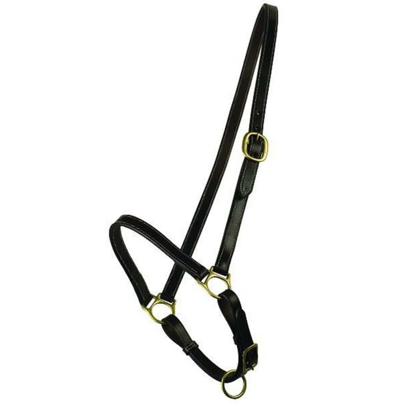 Gatsby Grooming Halter Horse Havana