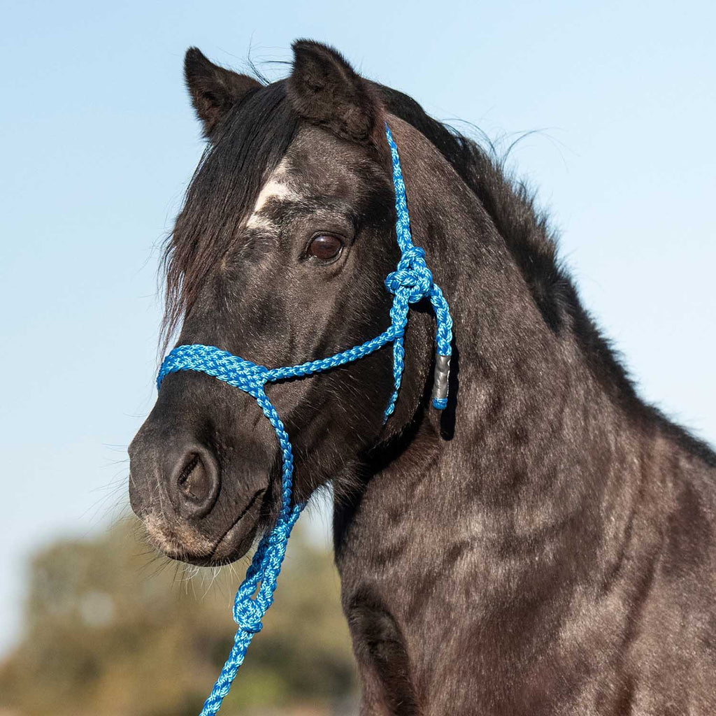 Cashel Flat Braid Pony Halter