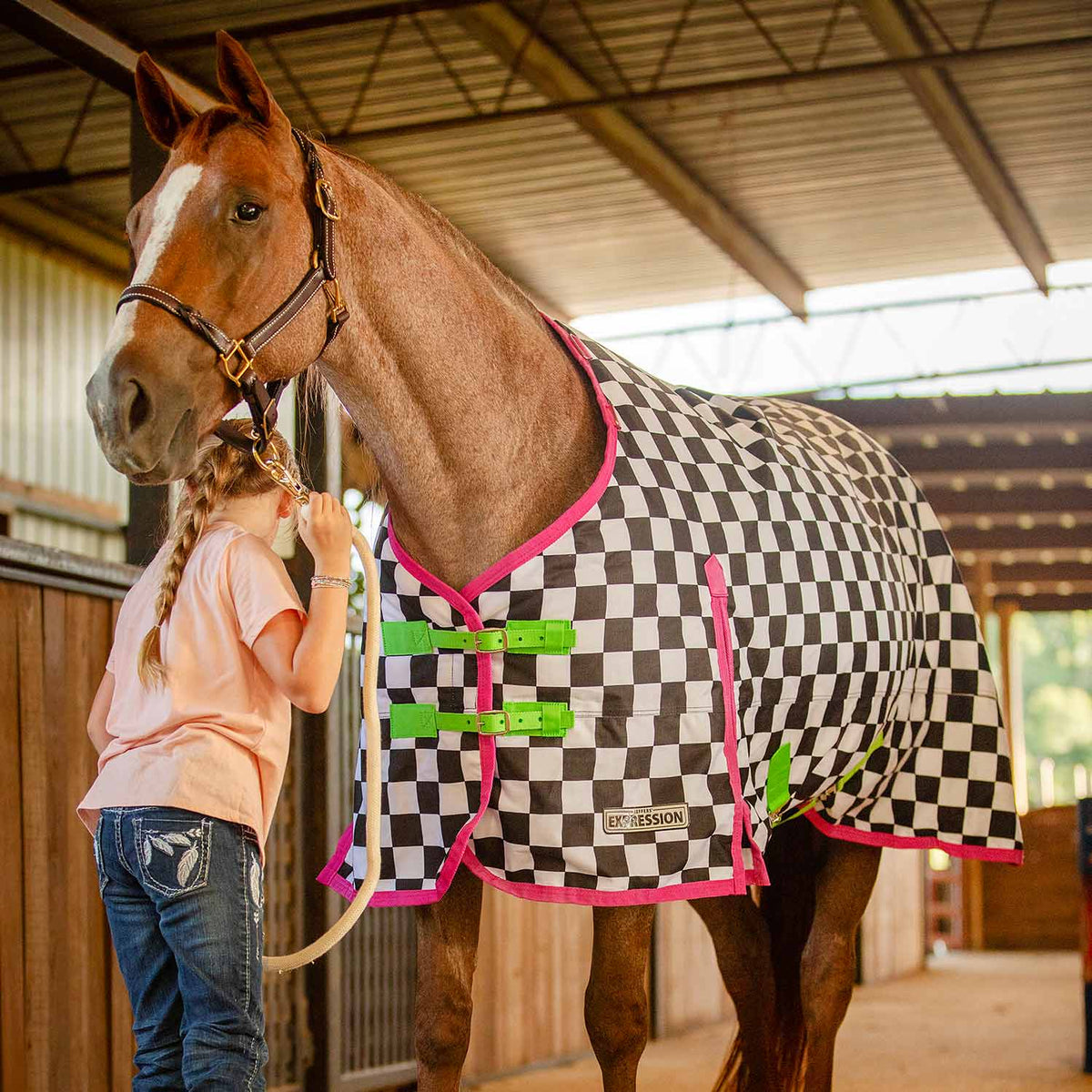 Jeffers Expression 1200 Denier Standard Neck Turnout Horse Blanket, 240 Gram