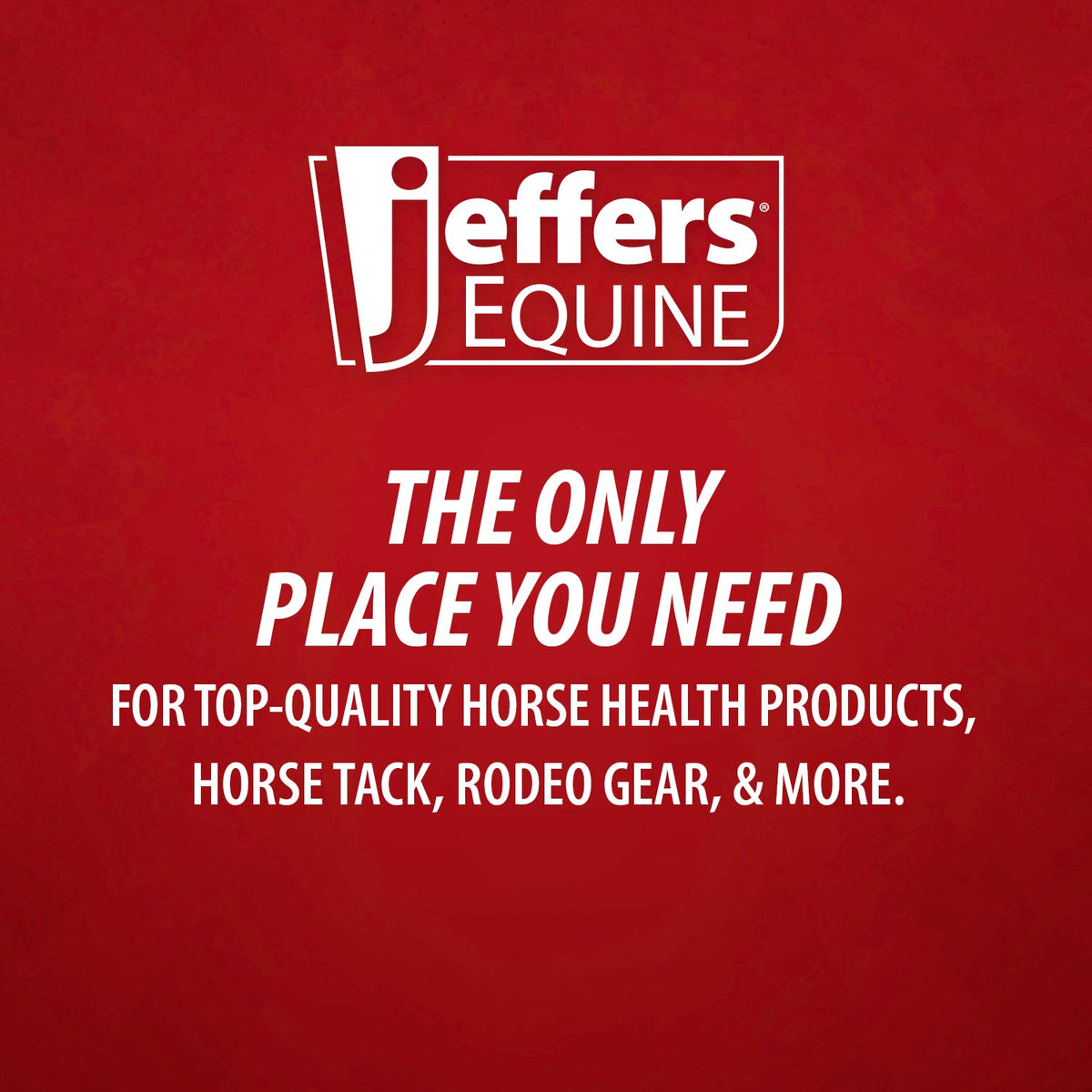 Jeffers Equine Tail & Mane Detangler and Conditioner Spray for Horses